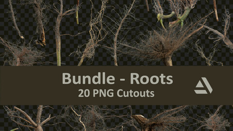 PNG Photo Pack: Roots