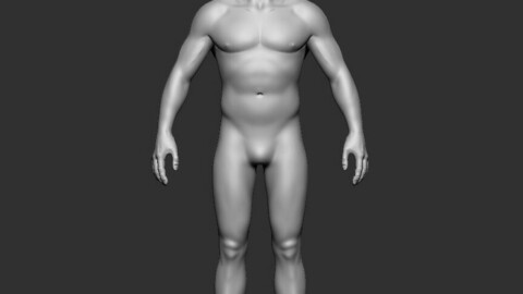 BASE MESH MALE BODY