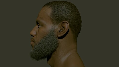 Lebron James  .  head .