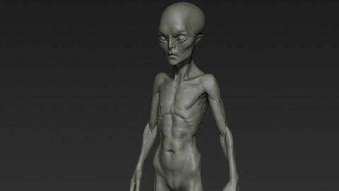 Alien Humanoid