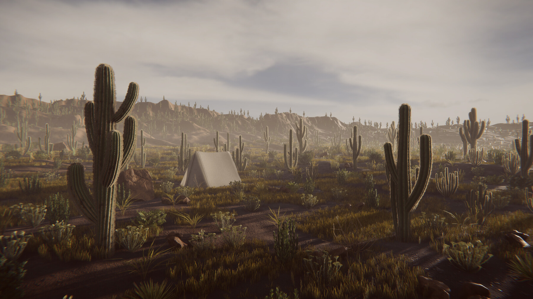 ArtStation - Mexican Desert (Unity Package) | Game Assets