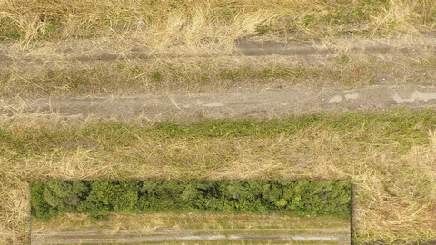 Aerial texture 82