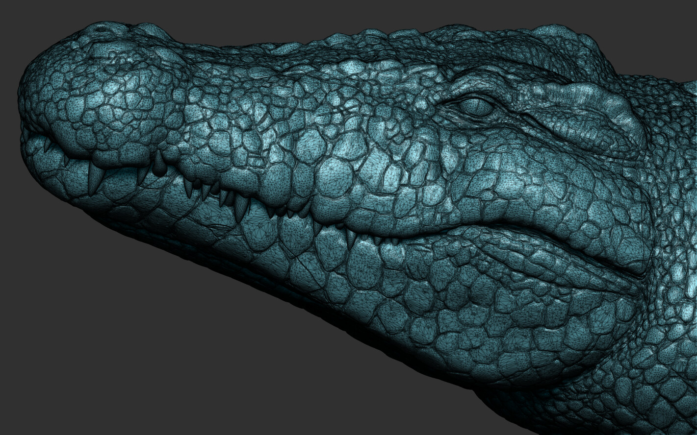 crocodile technology 3d serial number