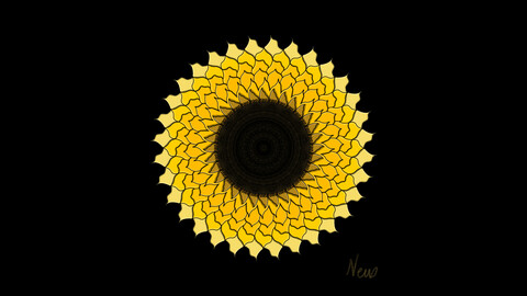 Radial Sunflower