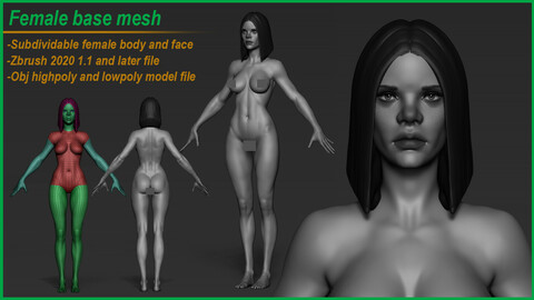 Female character basemesh (Woman body)