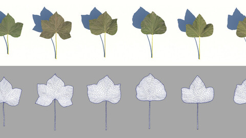 ivy leaves 3D model