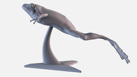 Frog 3D Printing