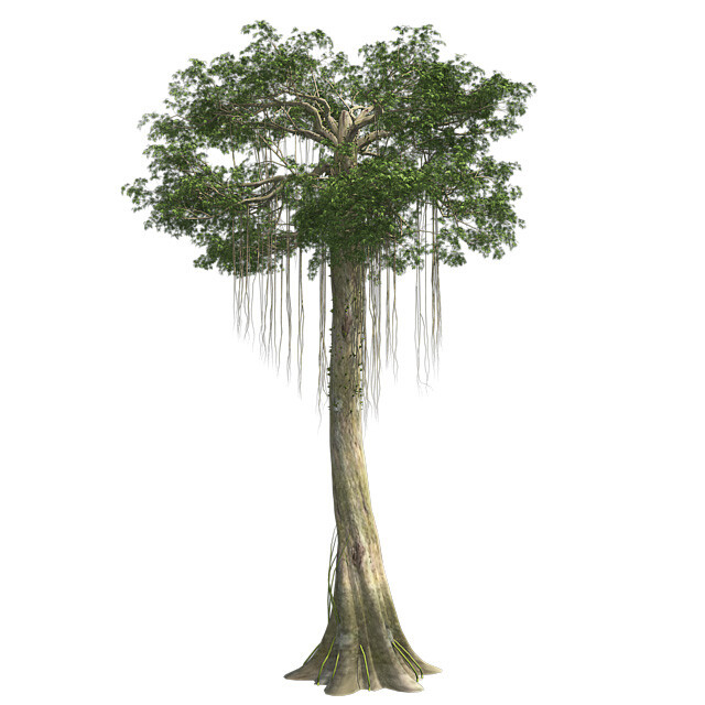 ArtStation Kapok Tree Resources