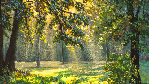 Magic light in natural park modern fine art