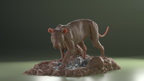 Lion Model