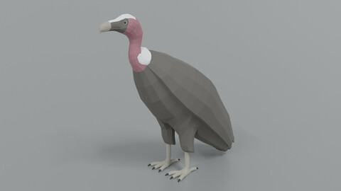 Low Poly Cartoon Vulture