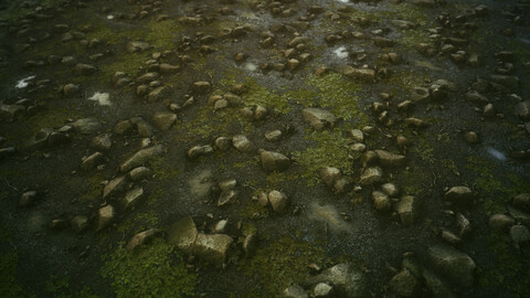 Forest Stone Ground - FREE sbsar