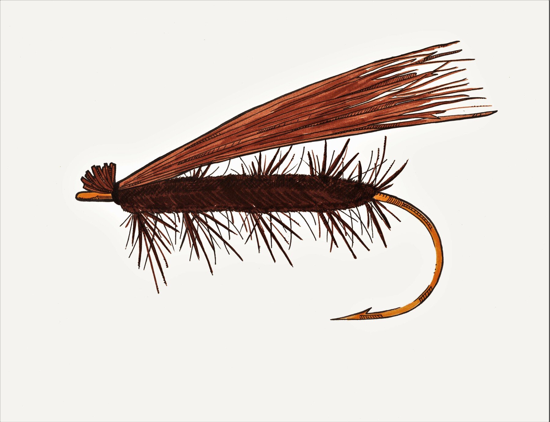 ArtStation Elk Hair Caddis fly pattern Artworks