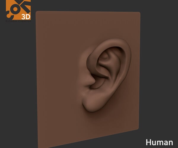 ArtStation - Stylized Ears VDM | Brushes