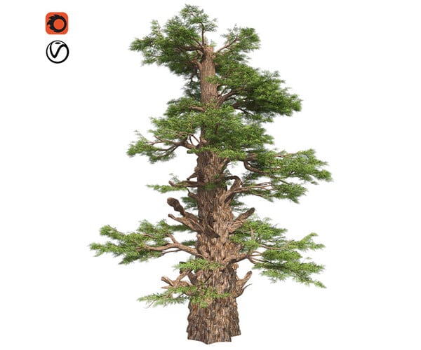 ArtStation - Western Juniper Tree | Resources