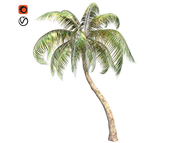 ArtStation Palm coconut Tree Game Assets