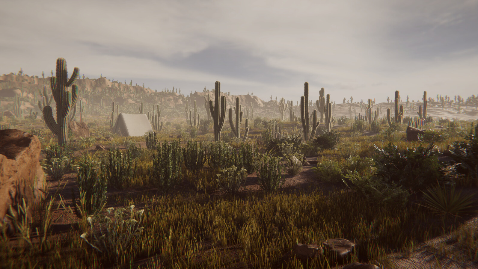 ArtStation - Desert Vegetation | Game Assets