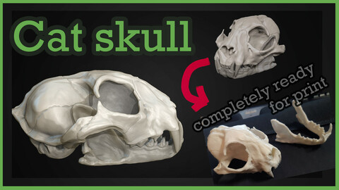 Cat skull printable