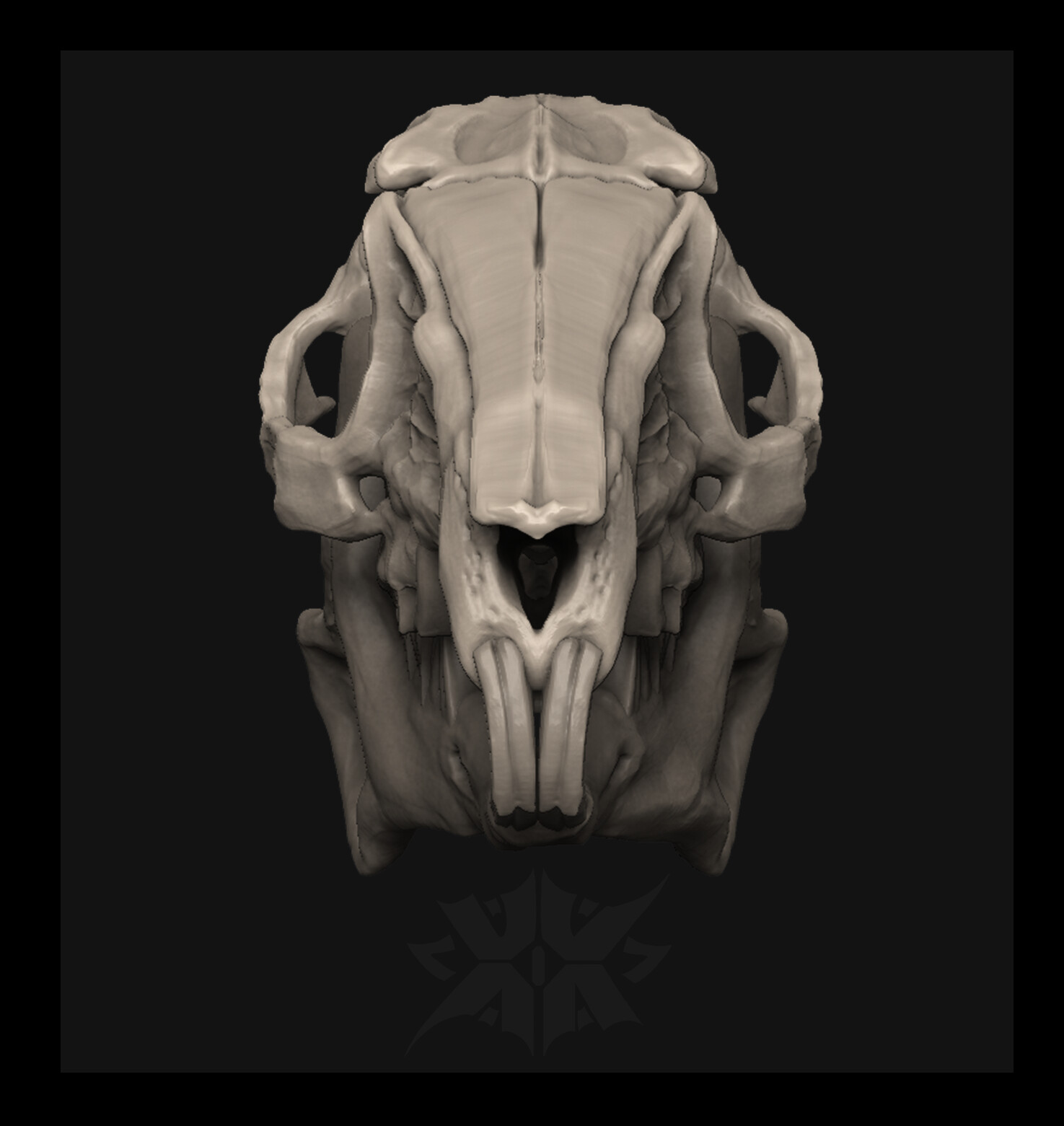 ArtStation - Skull of a rabbit or hare | Resources