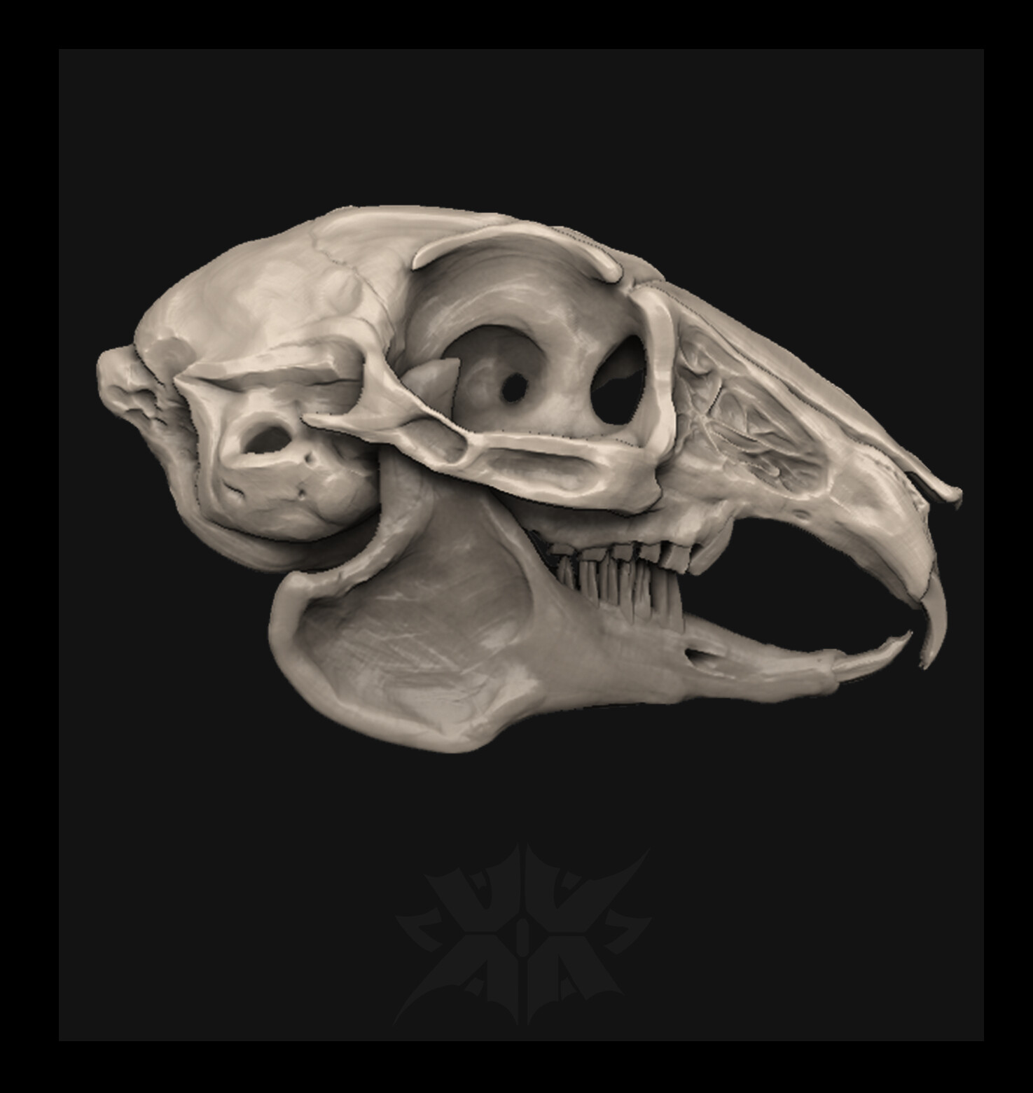 ArtStation - Skull of a rabbit or hare | Resources