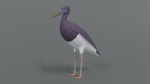 Low Poly Cartoon Abdim Stork