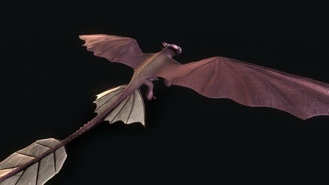 ArtStation - Cartoon 3D Dragon based in Toothless.