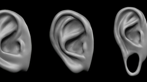 Free sample of 3 EARS with high poly and low poly 3D model