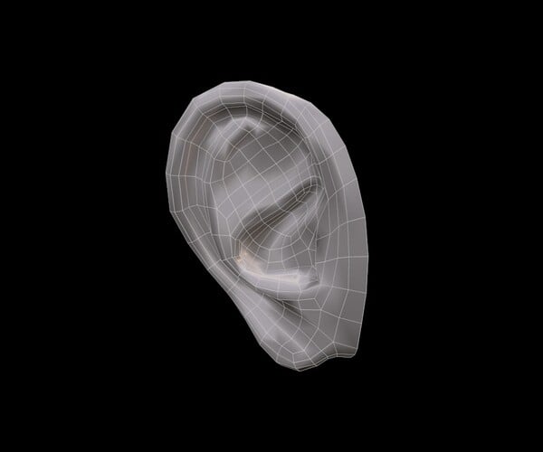 ArtStation - Free sample of 3 EARS with high poly and low poly 3D model ...