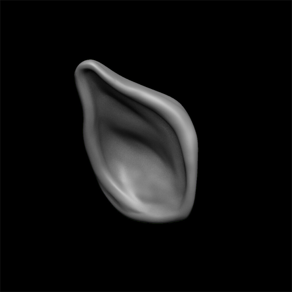 ArtStation - ears 3D model with high poly and low poly | Game Assets