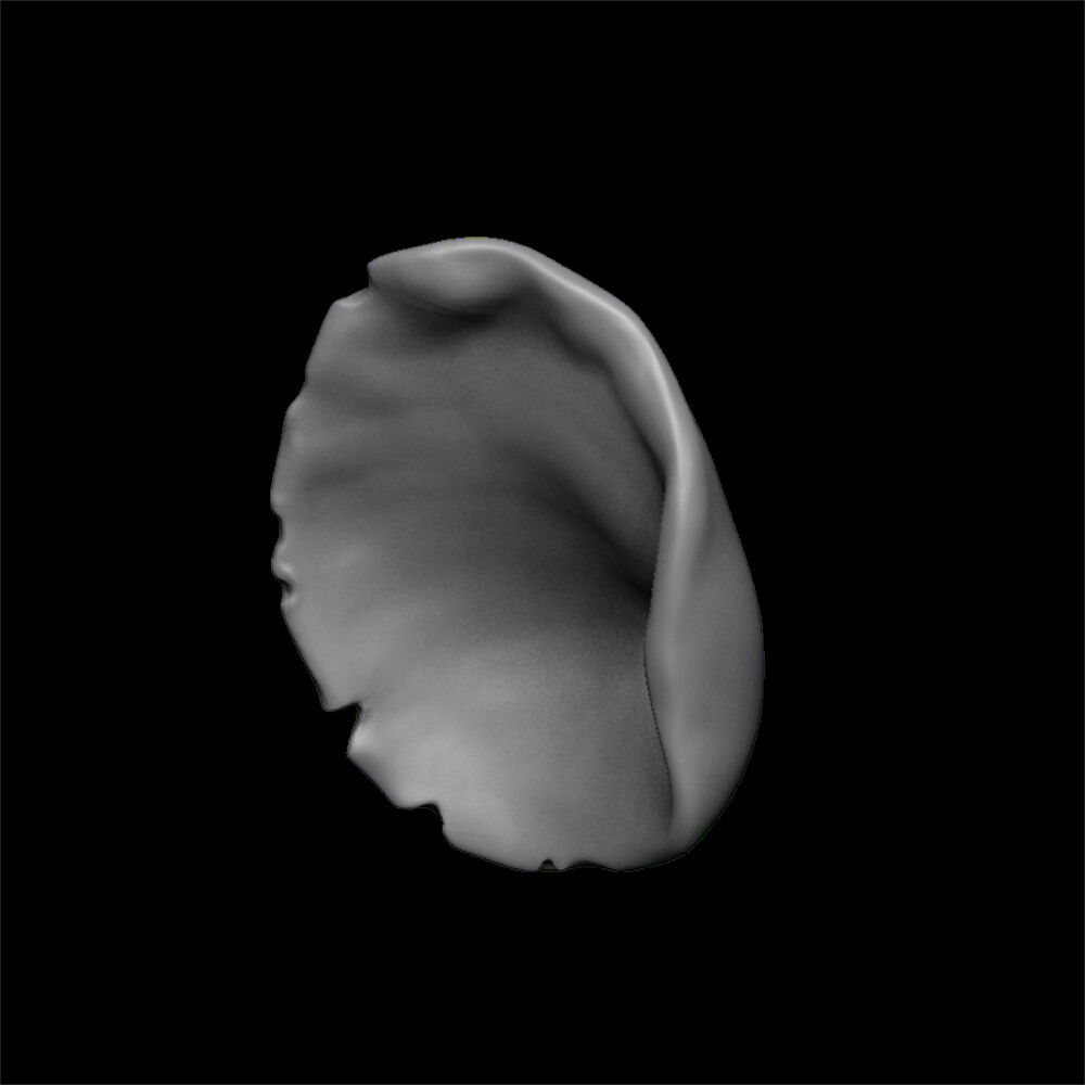 ArtStation - ears 3D model with high poly and low poly | Game Assets