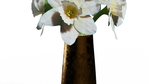 Paperwhite Narcissus flowers in a Copper Vase