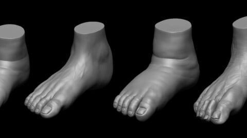 4 different feet with high poly 3D model