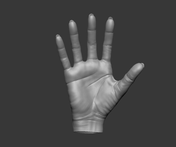 ArtStation - Female Hand 3D model | Resources