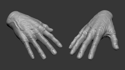 Old Human Hand 3D model