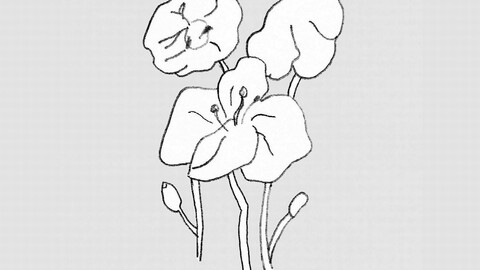 Tiny Poppies, black-and-white