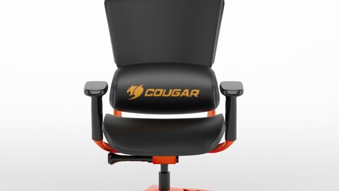 Cougar Ergonomic Gaming Chair