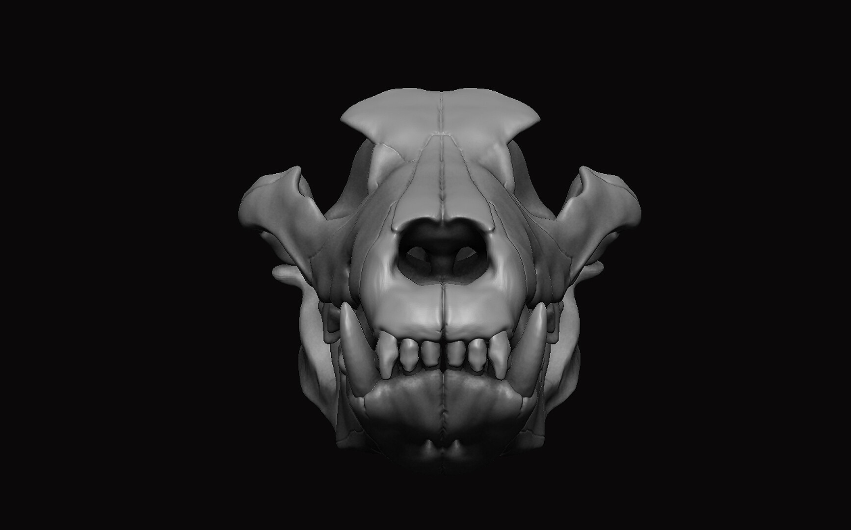 ArtStation - Wolf Skull 3D | Resources