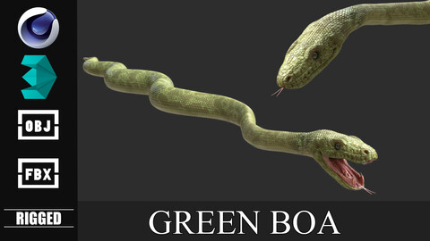 Green Boa