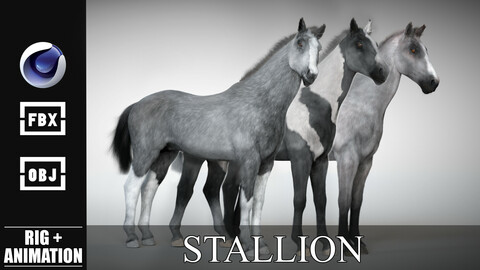 Stallion - Rigged & Animated Horse