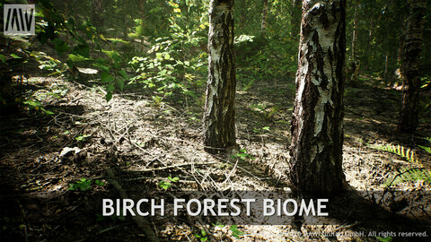 UE4 - BIRCH FOREST BIOME