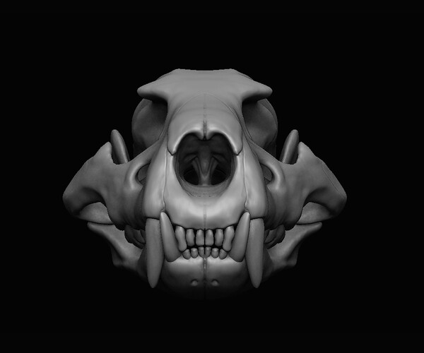 ArtStation - Lion Skull 3D | Resources
