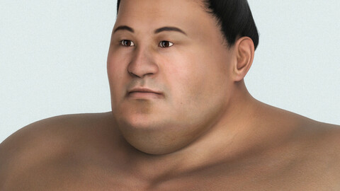 Japanese Sumo Fighter 3D Character