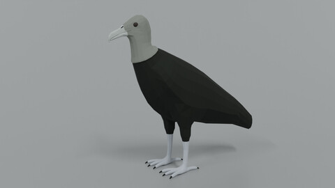 Low poly Cartoon Black Vulture