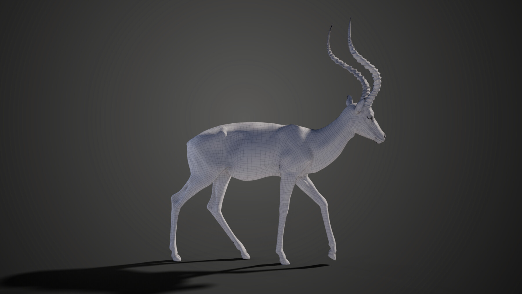 ArtStation - 3D Animal | Impala Animated | Resources