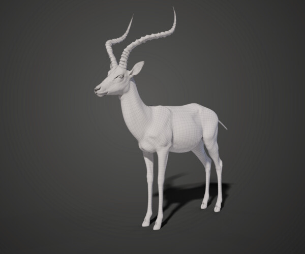 ArtStation - 3D Animal | Impala Animated | Resources