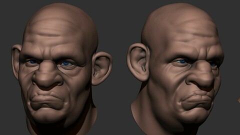 Dwarf Head basemesh