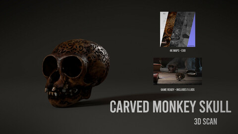 Carved Monkey Skull - 3D Scan with Textures & LODS