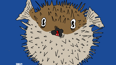 Pufferfish