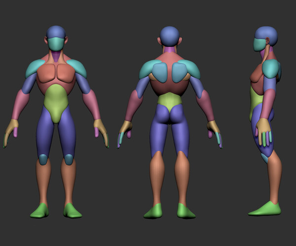 ArtStation - Pack - Stylized Full Male and Female Body Base Meshes