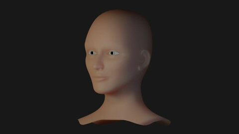 Head Base Mesh